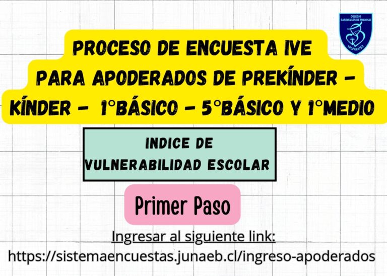 Proceso de Encuesta IVE